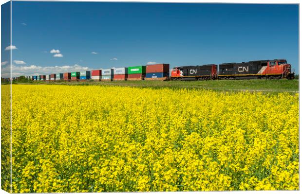 Shipping Containers on Rail Cars Pass a Canola Field Canvas Print by Dave Reede