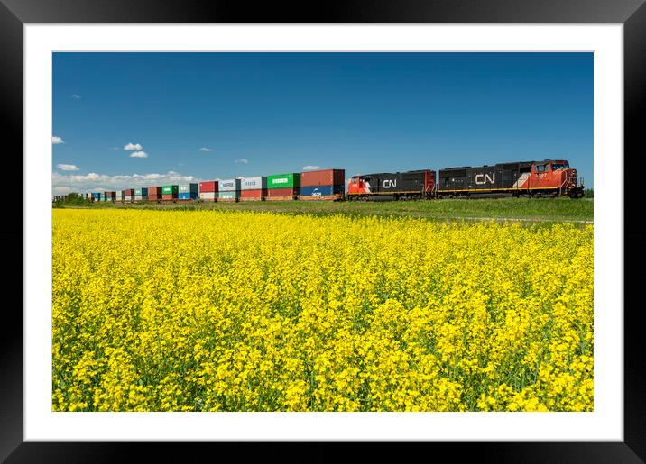 Shipping Containers on Rail Cars Pass a Canola Field Framed Mounted Print by Dave Reede