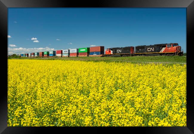 Shipping Containers on Rail Cars Pass a Canola Field Framed Print by Dave Reede