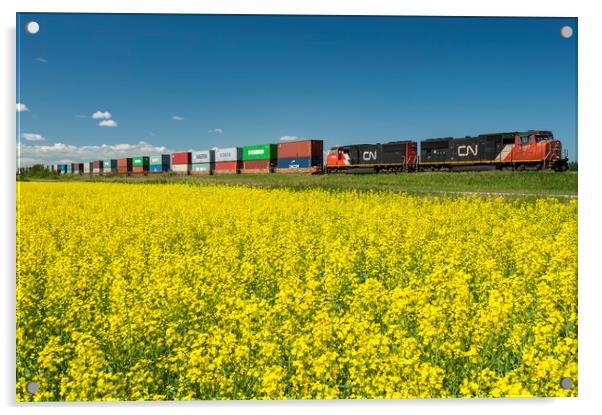 Shipping Containers on Rail Cars Pass a Canola Field Acrylic by Dave Reede