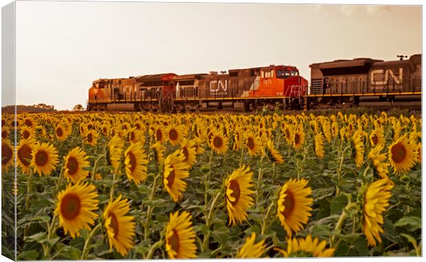 Locomotives Pass a Sunflower Field Canvas Print by Dave Reede