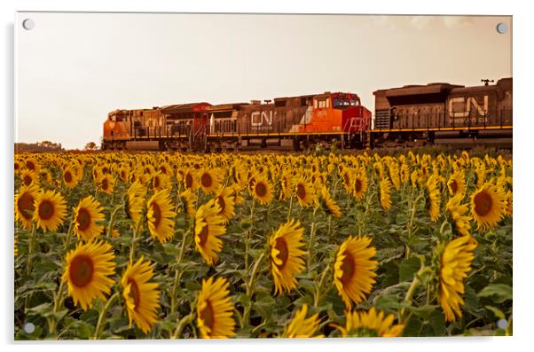 Locomotives Pass a Sunflower Field Acrylic by Dave Reede