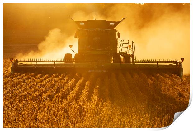 Soybean Harvest Print by Dave Reede