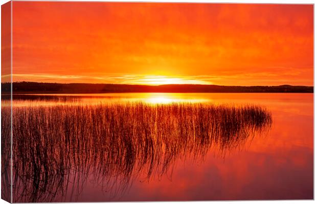 Tranquil Northern Lake Canvas Print by Dave Reede