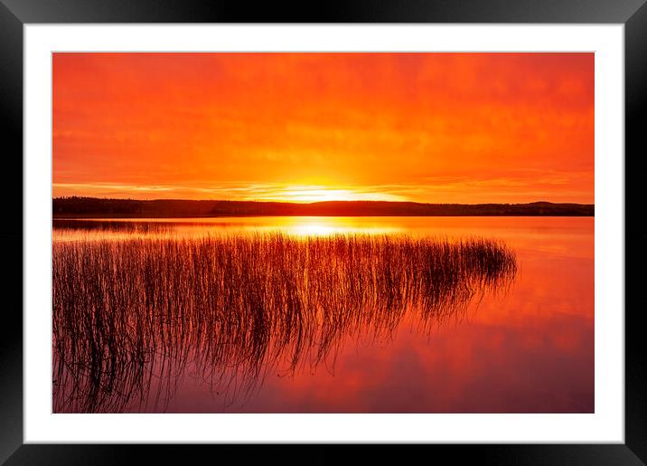 Tranquil Northern Lake Framed Mounted Print by Dave Reede