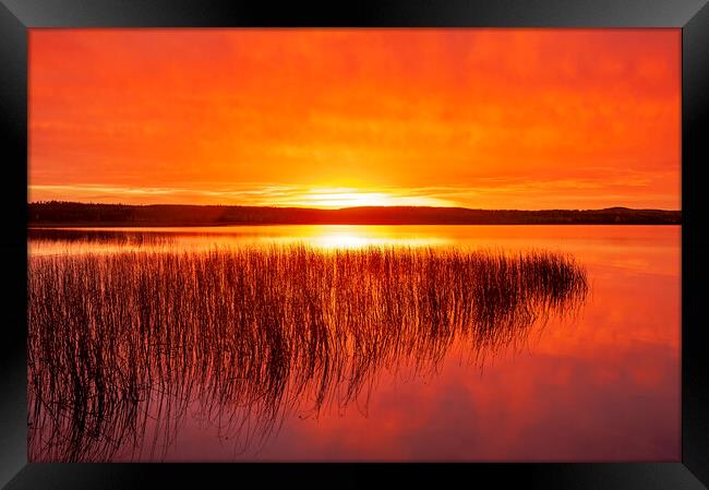 Tranquil Northern Lake Framed Print by Dave Reede