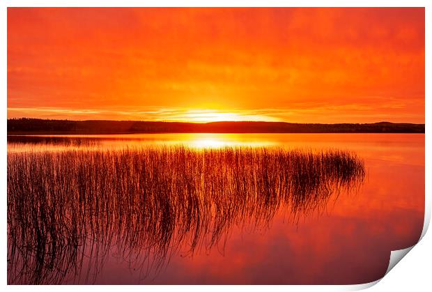 Tranquil Northern Lake Print by Dave Reede