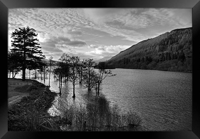 Loch Tay View - B&W Framed Print by Tom Gomez