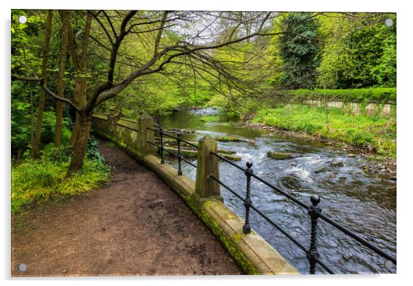 Water of Leith River in Edinburgh Acrylic by Artur Bogacki