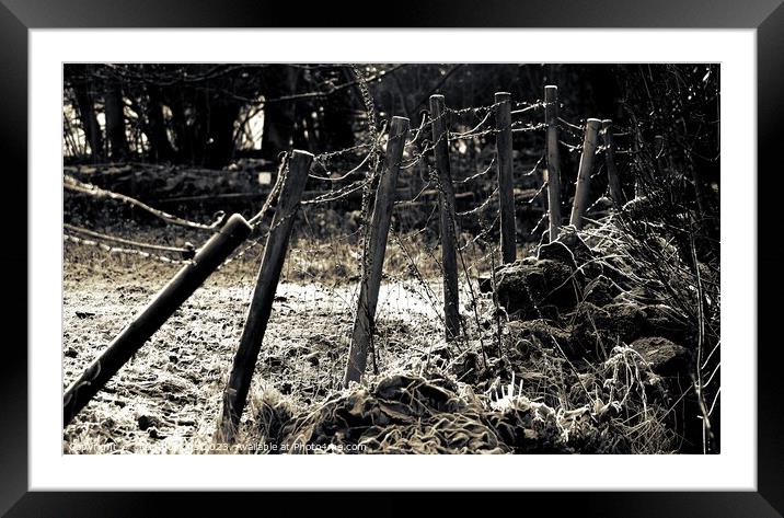 Abstract fence Framed Mounted Print by craig hopkins