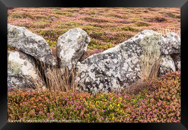 Cornish Coast Colours Framed Print by Phil Lane