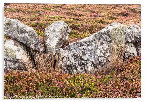 Cornish Coast Colours Acrylic by Phil Lane