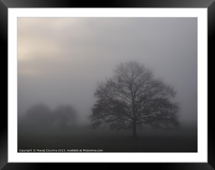 Misty November Morning Framed Mounted Print by Maciej Czuchra