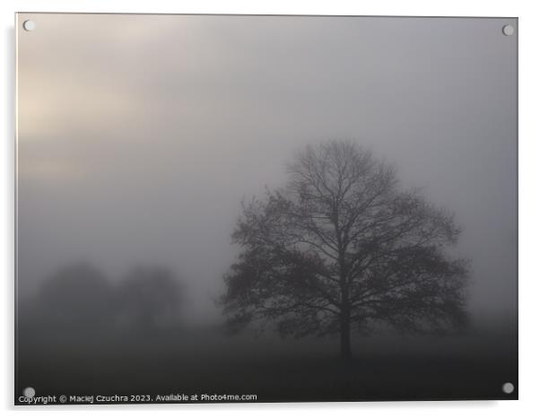 Misty November Morning Acrylic by Maciej Czuchra