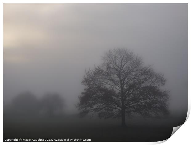 Misty November Morning Print by Maciej Czuchra
