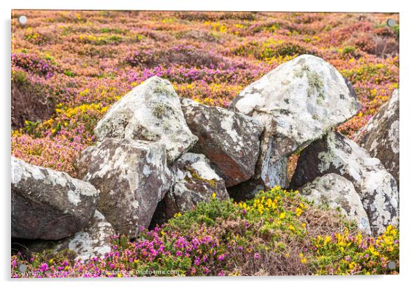 Cornish Coast Colours Acrylic by Phil Lane