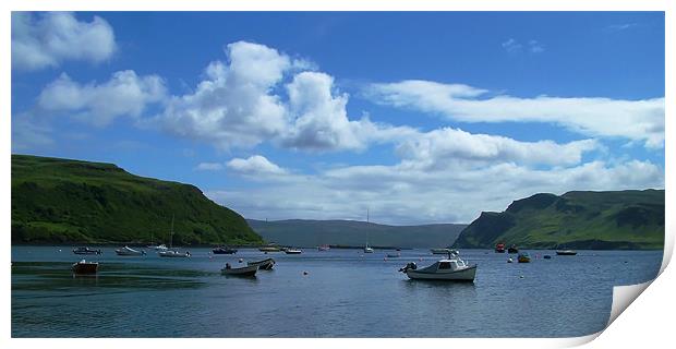 Portree Bay Print by Tom Gomez