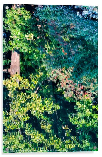 Tree Green Leaves Water Reflection Abstract Habikino Osaka Japan Acrylic by William Perry