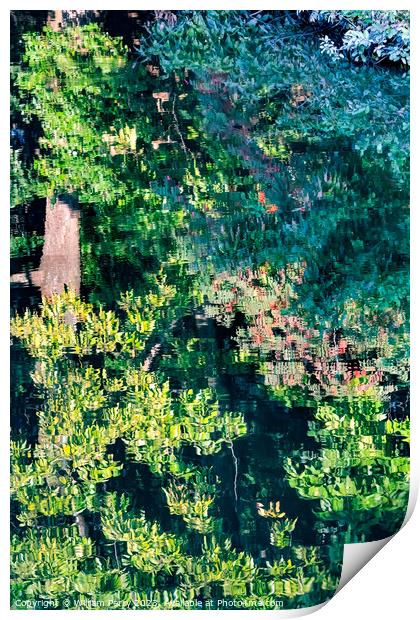 Tree Green Leaves Water Reflection Abstract Habikino Osaka Japan Print by William Perry