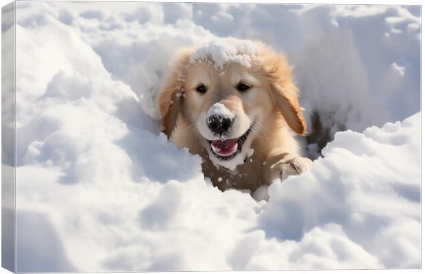 Golden retriever playing int he snow  Canvas Print by CC Designs