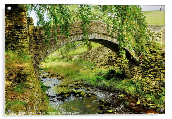 Eastergate Bridge Marsden Moor Yorkshire Acrylic by Diana Mower