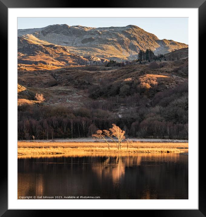 Reflection views around Snowdonia lakes in winter  Framed Mounted Print by Gail Johnson
