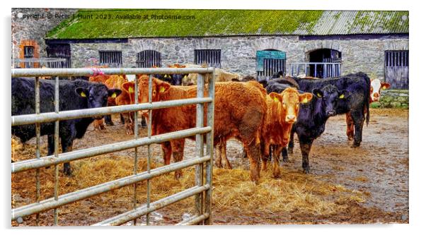 Elberry Farm Broadsands Devon Acrylic by Peter F Hunt