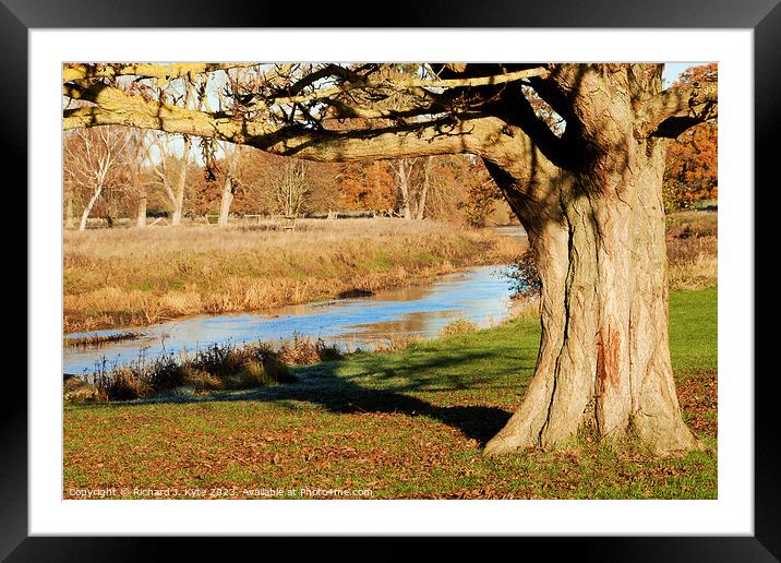 River Avon, Warwickshire Framed Mounted Print by Richard J. Kyte
