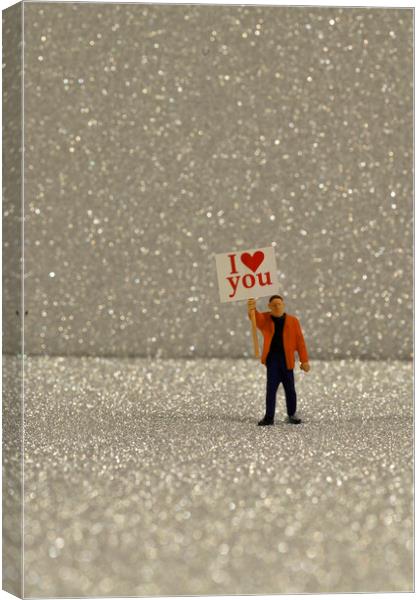 I Love You 2 Canvas Print by Steve Purnell