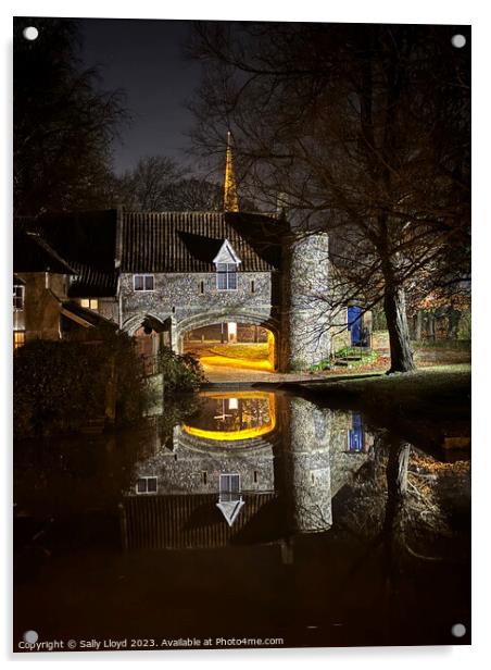 Pulls Ferry Magical Reflection Norwich Acrylic by Sally Lloyd