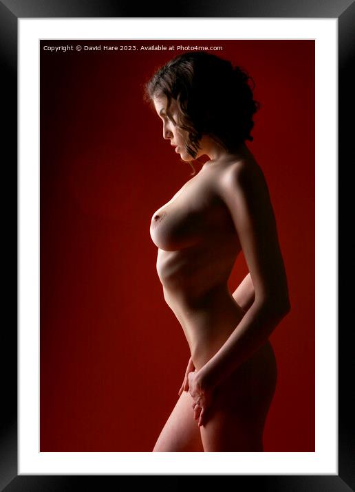 Nude on red Framed Mounted Print by David Hare