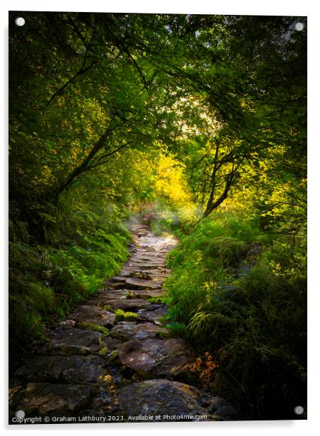 Devonshire Forest Bridleway Acrylic by Graham Lathbury