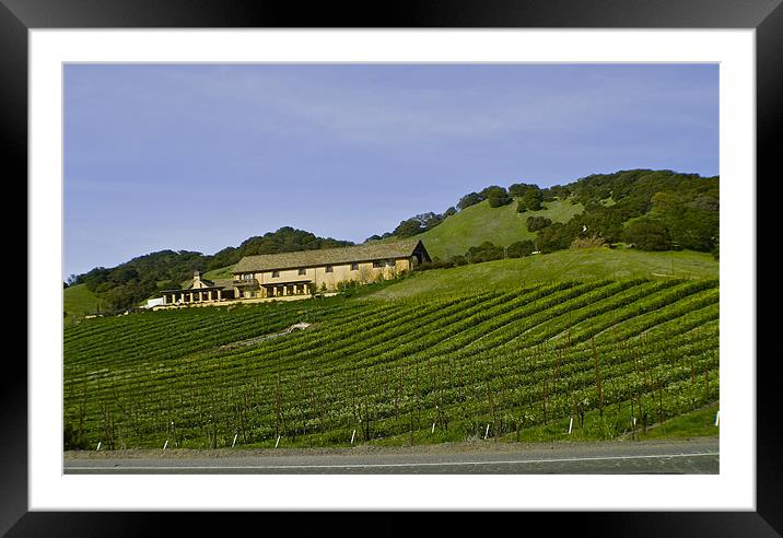 NAPPA VALLEY Framed Mounted Print by radoslav rundic