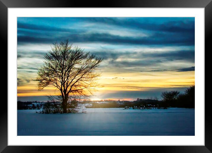 Lonely tree in the winter field Framed Mounted Print by Dejan Travica