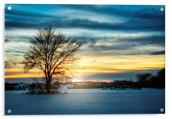 Lonely tree in the winter field Acrylic by Dejan Travica