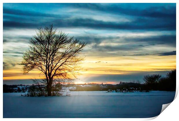 Lonely tree in the winter field Print by Dejan Travica