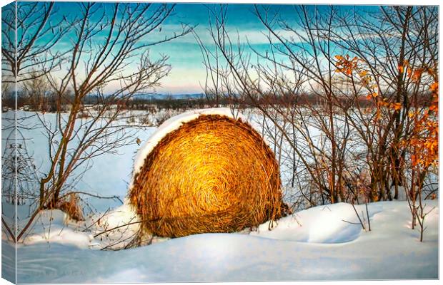 Hay bale forgotten in the snow Canvas Print by Dejan Travica