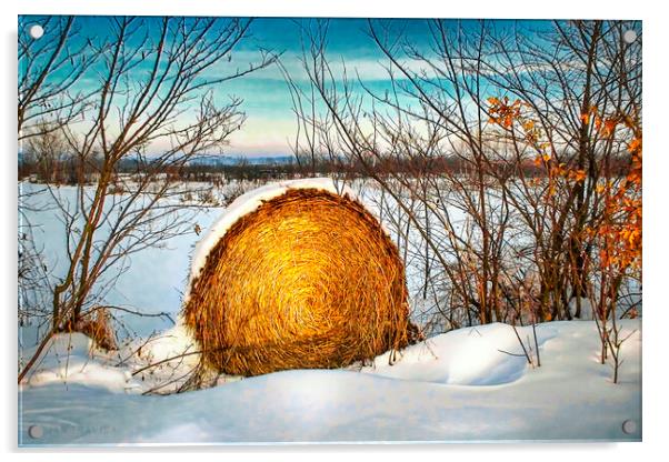 Hay bale forgotten in the snow Acrylic by Dejan Travica