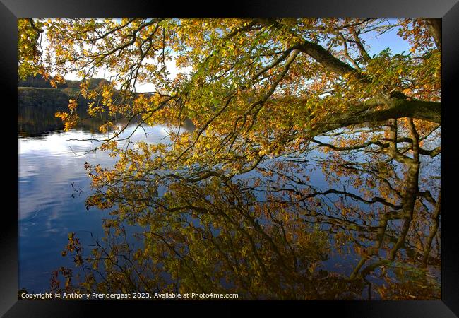 Rivington Reflection Framed Print by Anthony Prendergast