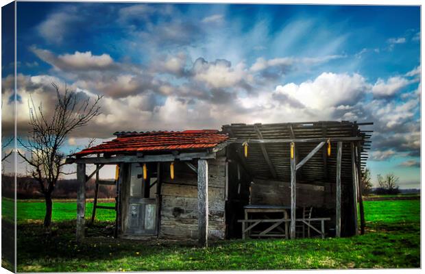 An old hut in a green field at the beginning of spring. Canvas Print by Dejan Travica
