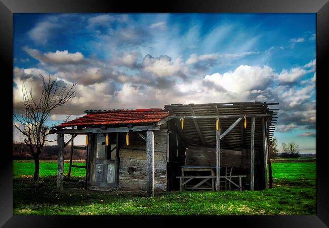 An old hut in a green field at the beginning of spring. Framed Print by Dejan Travica