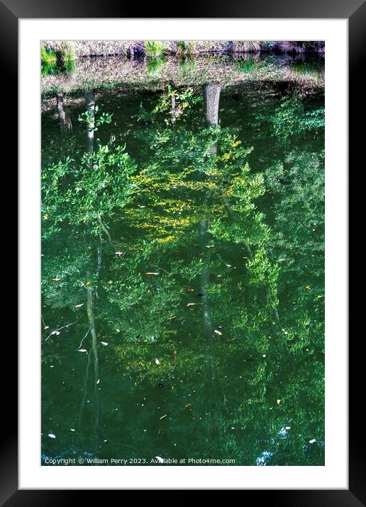 Green Reflection Abstract Autumn Habikino Osaka Japan Framed Mounted Print by William Perry