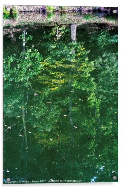 Green Reflection Abstract Autumn Habikino Osaka Japan Acrylic by William Perry