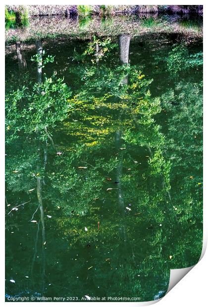 Green Reflection Abstract Autumn Habikino Osaka Japan Print by William Perry
