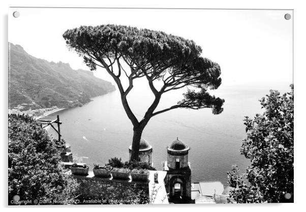 Ravello Views Italy in Black and White Acrylic by Diana Mower