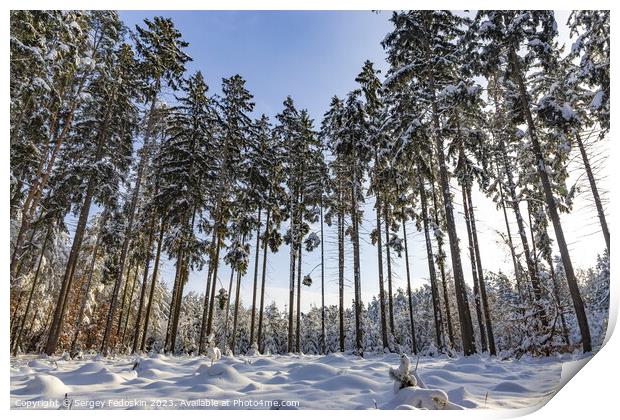 Snowy forest after heavy snowfall in central Europe Print by Sergey Fedoskin