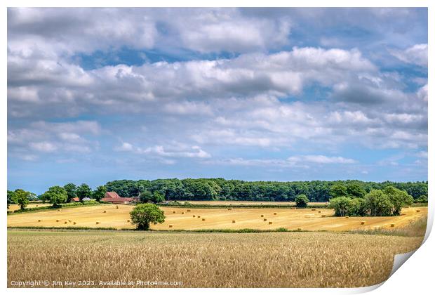 A country view  in Norfolk Print by Jim Key