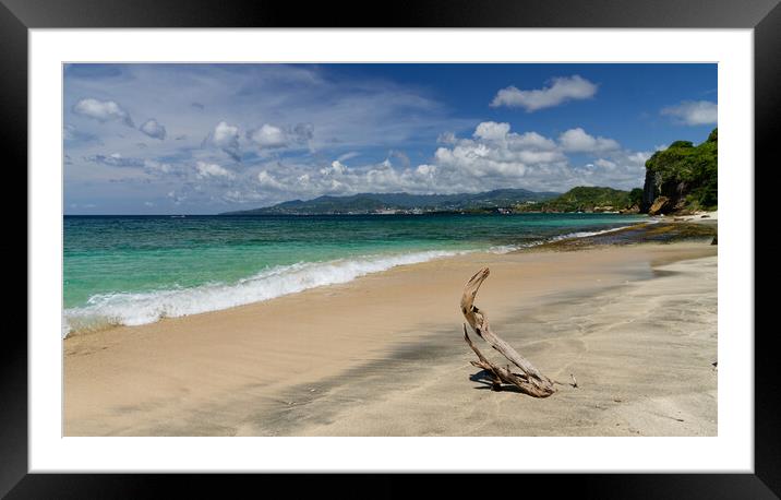 Driftwood on the Caribbean sea shore  Framed Mounted Print by John Gilham