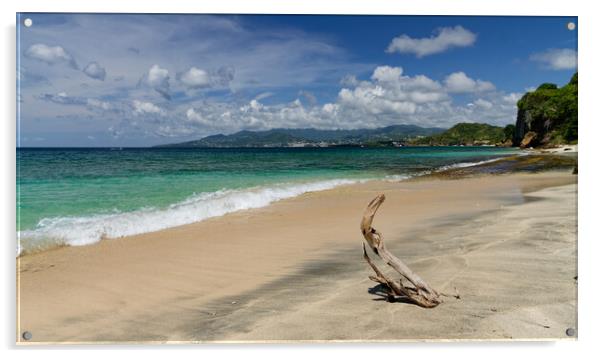 Driftwood on the Caribbean sea shore  Acrylic by John Gilham