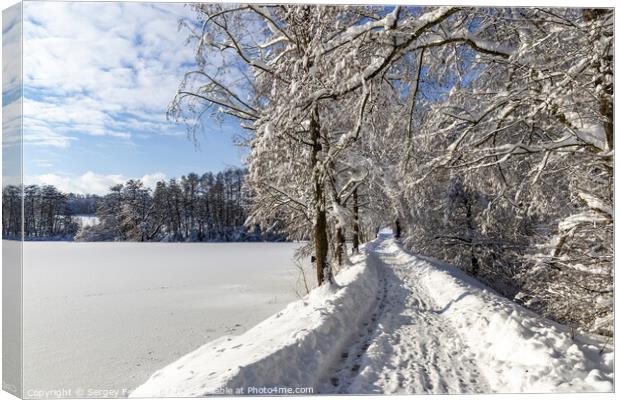 Road in the countryside after heavy snowfall in central Europe Canvas Print by Sergey Fedoskin